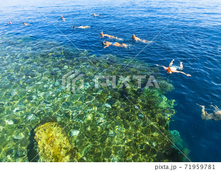 Coral pillars in the Red Sea, Egypt Coral pillars in the Red Sea, Egypt 71959781