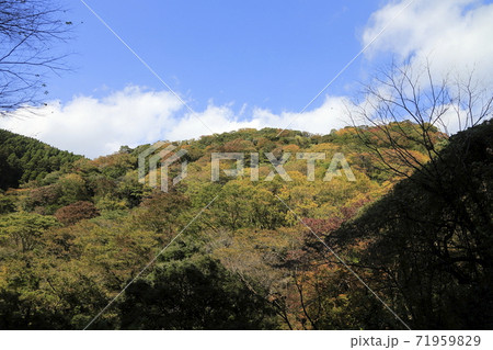 熊本県　菊池　菊池渓谷、 71959829