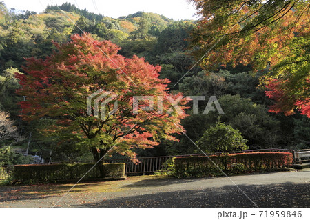 熊本県 菊池 菊池渓谷、 熊本県 菊池 菊池渓谷、 71959846