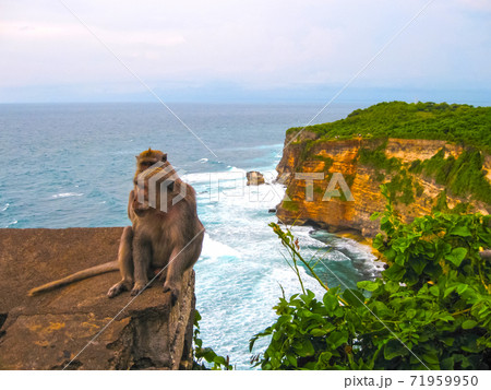 The ocean, waves, monkeys at Uluvatu, Bali The ocean, waves, monkeys at Uluvatu, Bali 71959950