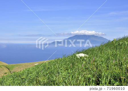 北海道 礼文島 桃岩展望台からの眺望の写真素材