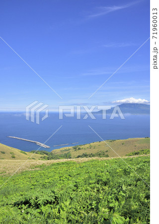 北海道 礼文島・桃岩展望台からの眺望 北海道 礼文島・桃岩展望台からの眺望 71960013