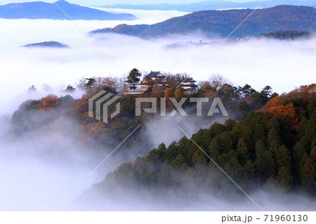 天空の山城5402 71960130