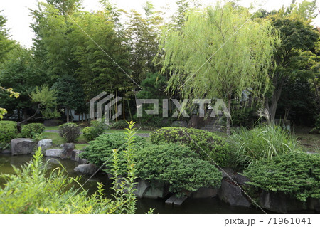 川崎 大師公園 瀋秀園 川崎 大師公園 瀋秀園 71961041