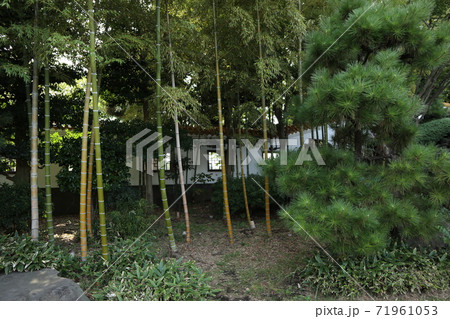 川崎　大師公園　瀋秀園 71961053