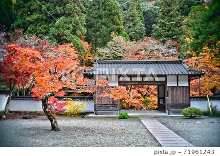 佛通寺の紅葉 71961243