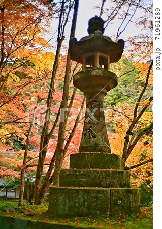 佛通寺の紅葉 71961289