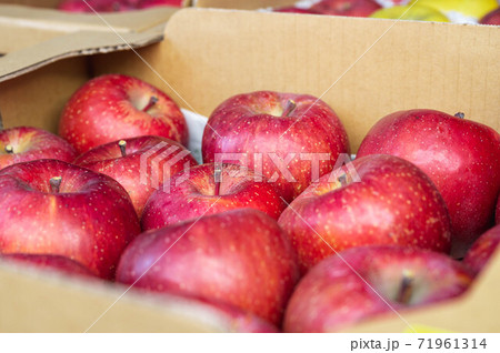 箱入りサンふじ 箱入りサンふじ 71961314