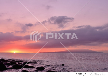 東伊豆町の朝 71962226