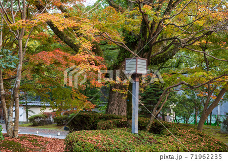 秋の夜に紅葉の旧細川刑部邸のライトアップの夜の写真素材