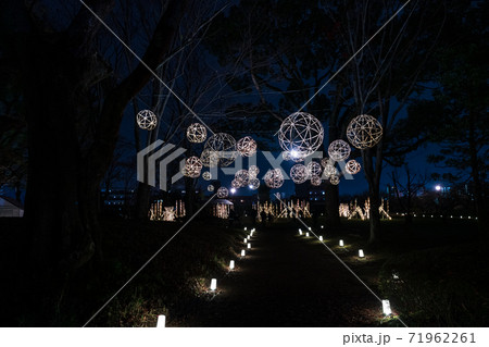 秋の夜に紅葉の旧細川刑部邸のライトアップの夜 秋の夜に紅葉の旧細川刑部邸のライトアップの夜 71962261