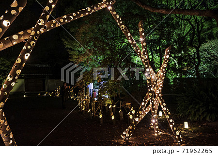秋の夜に紅葉の旧細川刑部邸のライトアップの夜 秋の夜に紅葉の旧細川刑部邸のライトアップの夜 71962265