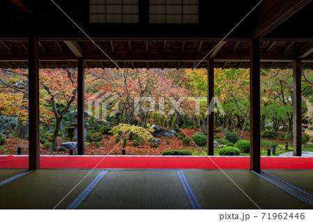 圓光寺　紅葉 71962446