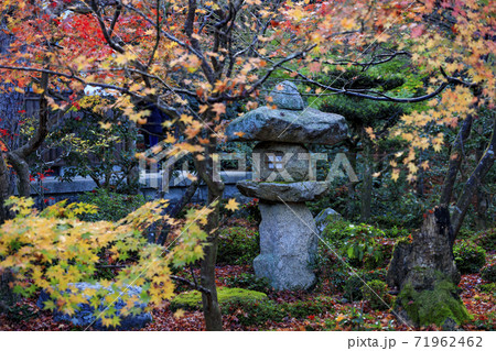圓光寺 紅葉 圓光寺 紅葉 71962462