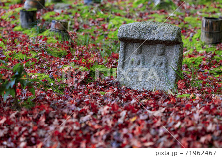 圓光寺　紅葉 71962467