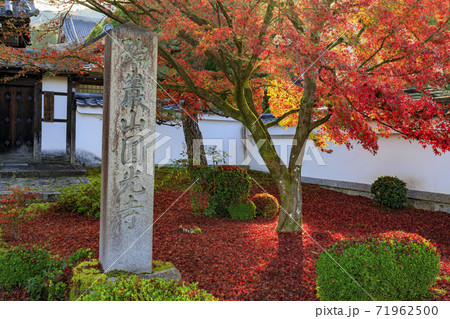 圓光寺　紅葉 71962500