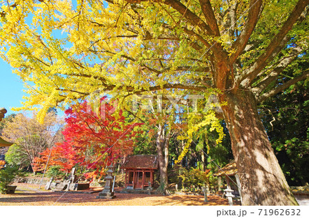 紅葉が美しい秋の阿蘇西巖殿寺 71962632