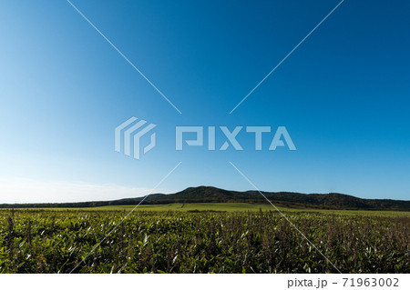 網走市営美岬牧場 網走市営美岬牧場 71963002