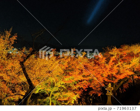 京都洛東・清水寺の紅葉とライトアップ 71963137