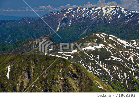 谷川連峰・茂倉岳から見る残雪の上越国境稜線と巻機山 71963293