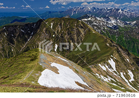 谷川連峰・茂倉岳から見る残雪の上越国境稜線と巻機山 71963616