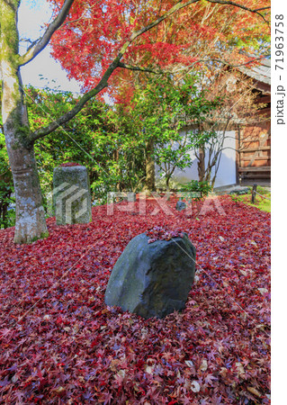 金福寺　紅葉 71963758