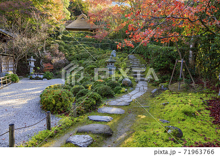 金福寺　紅葉 71963766