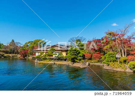 江戸川平成庭園 71964059