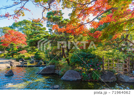江戸川平成庭園 江戸川平成庭園 71964062