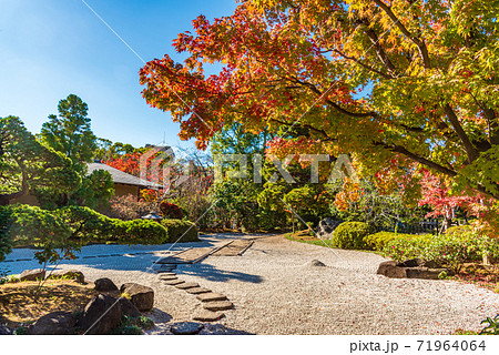 江戸川平成庭園 71964064