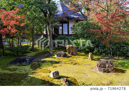 建仁寺　紅葉 71964278