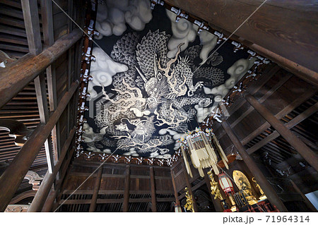 建仁寺　紅葉 71964314