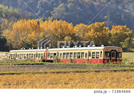 紅葉の小湊鉄道 紅葉の小湊鉄道 71964666