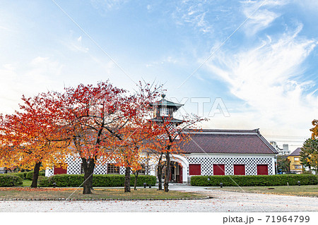 紅葉と史跡旧新潟税関庁舎 (秋) 紅葉と史跡旧新潟税関庁舎 (秋) 71964799