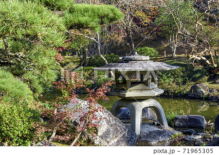 成田山公園 日本庭園 成田山公園 日本庭園 71965305