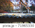 イチョウ　屋根　落ち葉 71965330