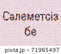 花「こんにちは（カザフ語）」（ナエマ） 71965497