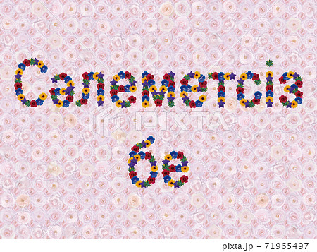 花「こんにちは（カザフ語）」（ナエマ） 71965497