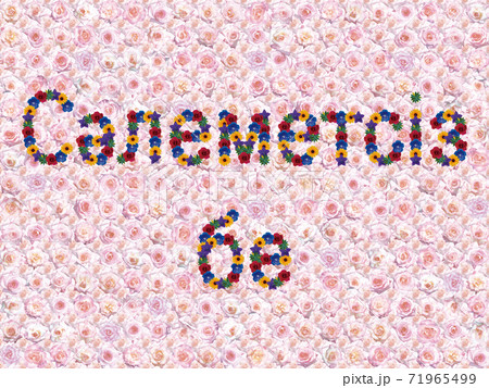 花「こんにちは（カザフ語）」（カリフォルニアドリーミング） 71965499