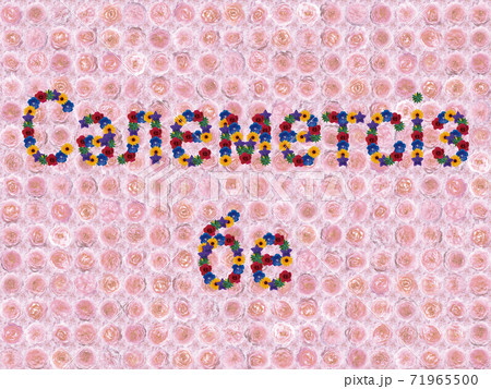 花「こんにちは（カザフ語）」（フラゴナール） 71965500