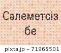 花「こんにちは（カザフ語）」（イージータイム） 71965501