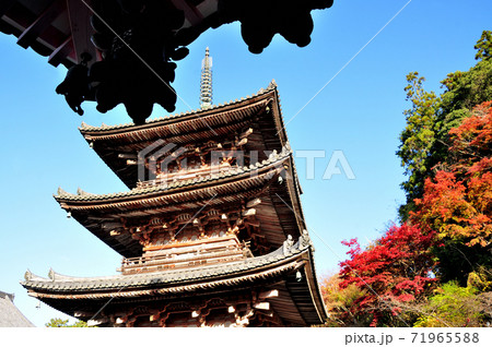 壷阪寺 三重塔の紅葉 壷阪寺 三重塔の紅葉 71965588