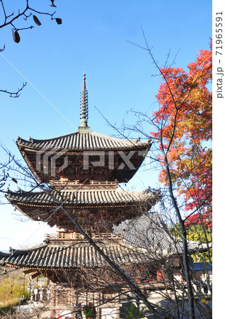 壷阪寺 三重塔の紅葉 壷阪寺 三重塔の紅葉 71965591