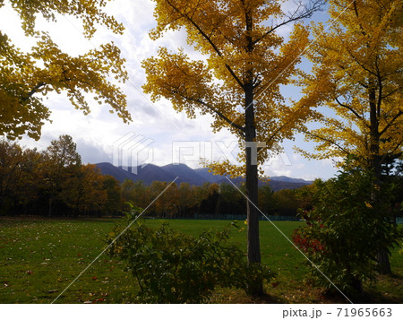 北海道札幌市の公園から見た手稲山(秋) 北海道札幌市の公園から見た手稲山(秋) 71965663