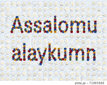 花「こんにちは（ウズベク語_B）」（ヨハネパウロ2世） 71965666