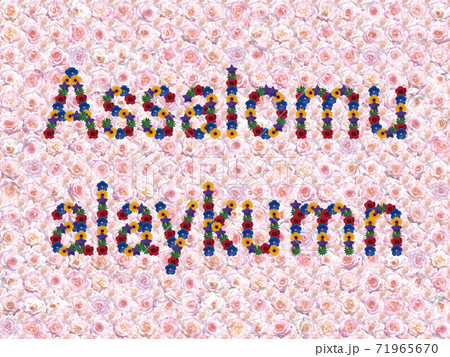 花「こんにちは(ウズベク語_B)」(カリフォルニアドリーミング) 花「こんにちは(ウズベク語_B)」(カリフォルニアドリーミング) 71965670