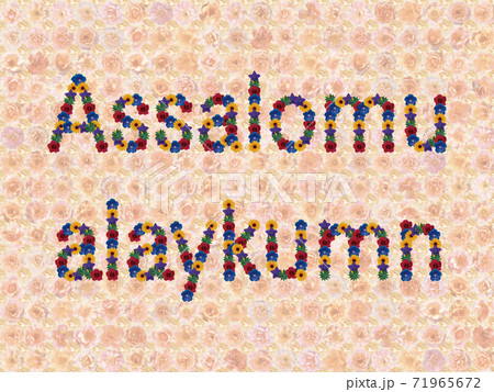 花「こんにちは(ウズベク語_B)」(イージータイム) 花「こんにちは(ウズベク語_B)」(イージータイム) 71965672