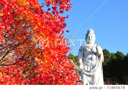 壷阪寺 天竺渡来大観音石像 壷阪寺 天竺渡来大観音石像 71965678