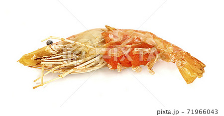 roasted river shrimp common and Shrimp Roe isolated on white background ,grilled prawn roasted river shrimp common and Shrimp Roe isolated on white background ,grilled prawn 71966043