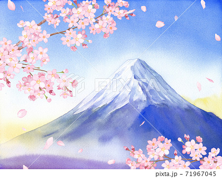 春の花 桜と富士山の景色 水彩イラストのイラスト素材